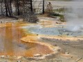 Norris Geyser Basin